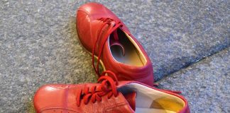 violenza di genere carmagnola