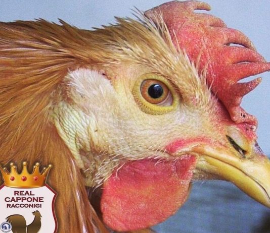 Racconigi Santa Lucia Fiera