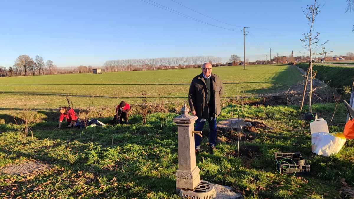 Moretta: nuove piante sulla ciclabile verso Villafranca