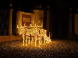 Santena cartoline Natale