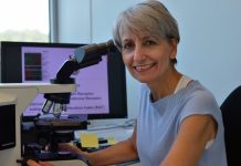 Moretta: cittadinanza onoraria alla professoressa Anna Sapino cittadinanza onoraria Sapino