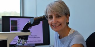 cittadinanza onoraria Sapino