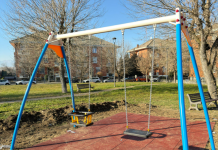 A Vinovo sono iniziate le piantumazioni del progetto “Alberiamo Vinovo” alberiamo vinovo