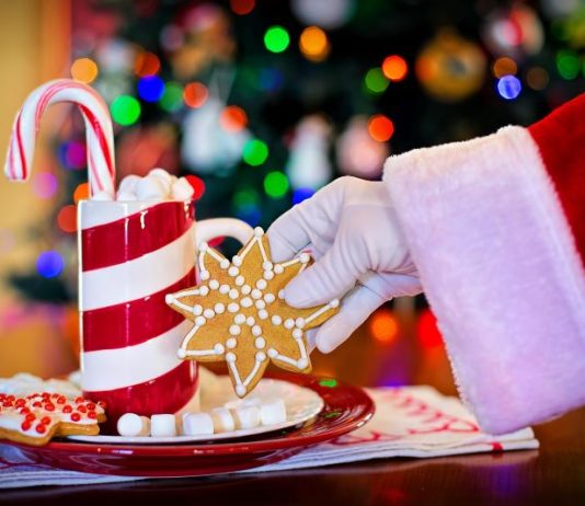 Lombriasco auguri Natale