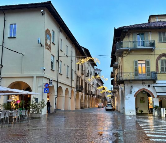 distretto del commercio carmagnola regione