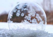 Sabato il Natale si festeggia a Casa Gallo di Carmagnola natale giovanni gallo carmagnola