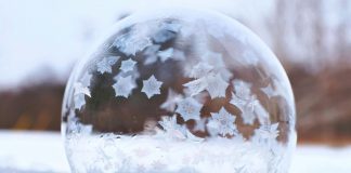 natale giovanni gallo carmagnola