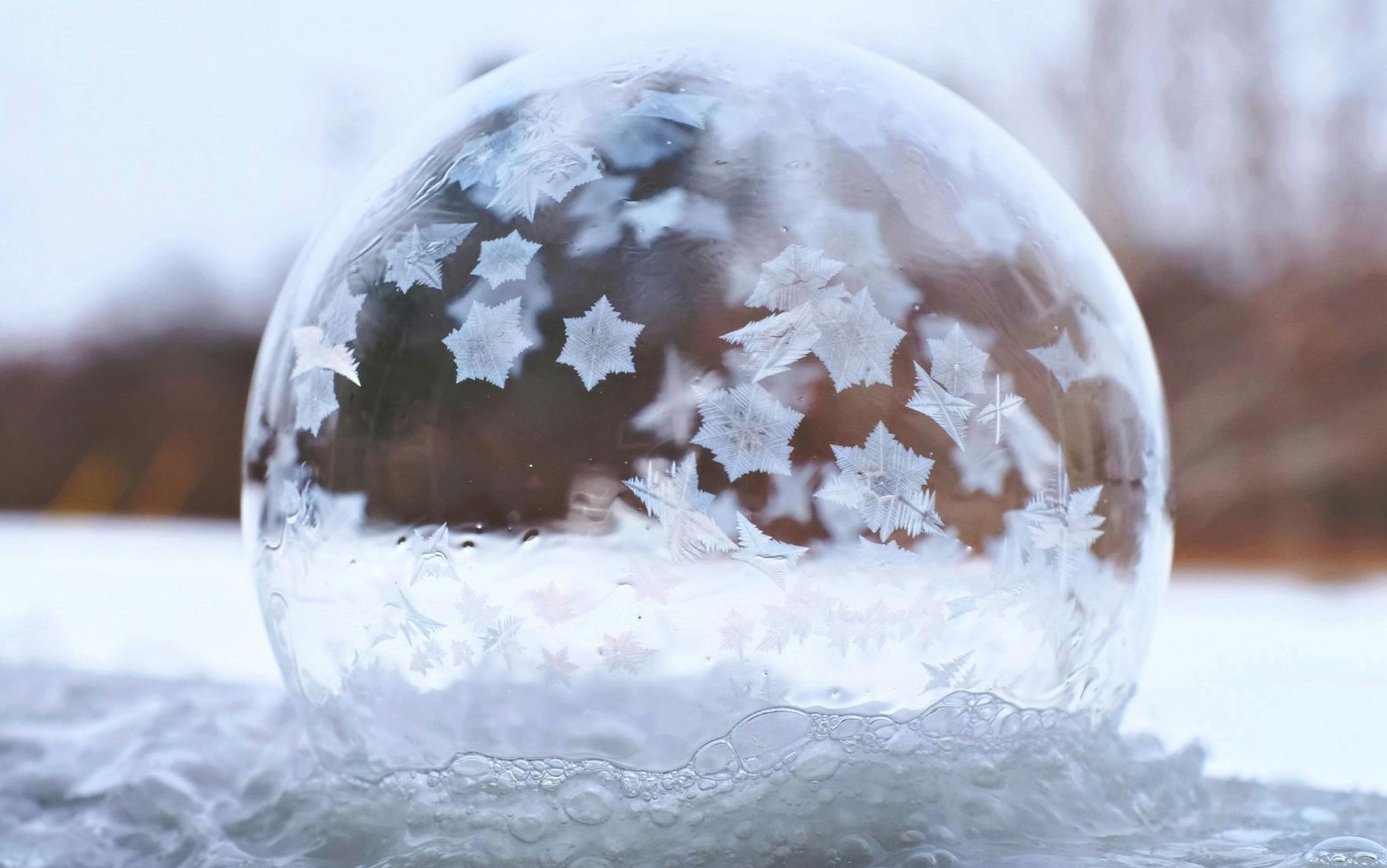 natale giovanni gallo carmagnola