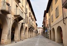 Carmagnola rinnova il servizio di derattizzazione nelle aree urbane derattizzazione carmagnola