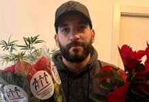 stelle di natale carmagnola