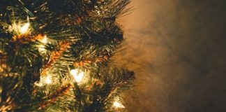 Natale Sommariva del Bosco