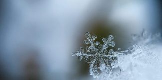 Racconigi solstizio d’inverno