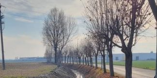 Caramagna pulizia Canale Molino