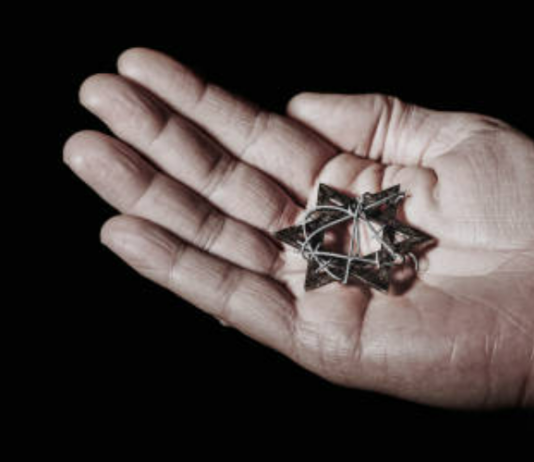 giornata della memoria vinovo