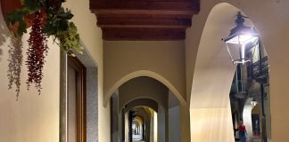 affitto immobili carmagnola