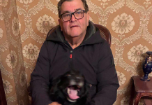 «Cani maltrattati a Carmagnola»: l’assessore Gerbino nel mirino, ma lui contrattacca e accusa di “diffamazione” assessore gerbino cani carmagnola