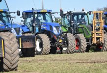 Castagnole ringraziamento Sant'Antonio