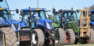 Castagnole ringraziamento Sant'Antonio