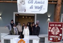 progetto cuccia canile carmagnola