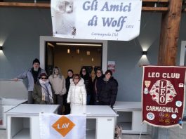 progetto cuccia canile carmagnola
