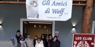 progetto cuccia canile carmagnola