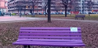 panchina viola carmagnola