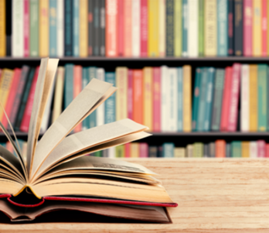 Santena 2025 biblioteca