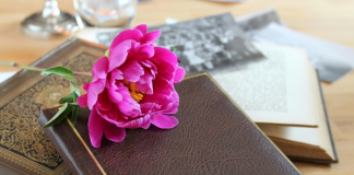 versi fioriti Villanova