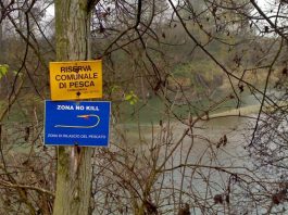 Tante sfide per il neo-eletto Direttivo dell’Associazione Pescatori Carmagnolesi Associazione Pescatori Carmagnolesi