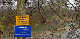 Associazione Pescatori Carmagnolesi