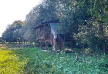 bosco del gerbasso carmagnola