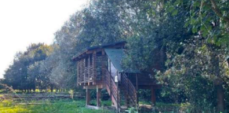 bosco del gerbasso carmagnola