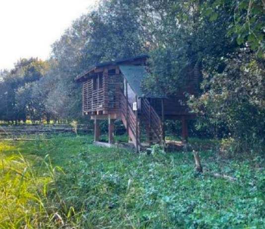 bosco del gerbasso carmagnola