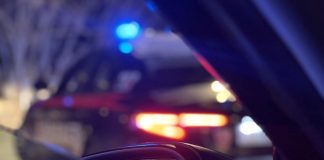 corpo anziana stupinigi