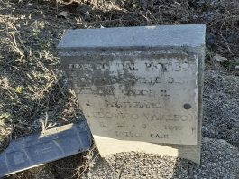 cippo condizioni degrado carmagnola ANPI partigiani fucilati