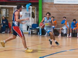 Dolphins Carmagnola Basket