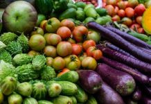 A Racconigi lezioni di agricoltura biodinamica con “PassapORTO.bio” Racconigi PassapORTO.bio