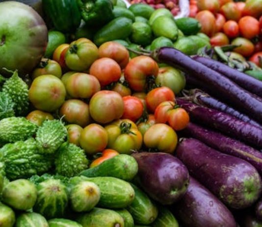 A Racconigi lezioni di agricoltura biodinamica con “PassapORTO.bio” Racconigi PassapORTO.bio
