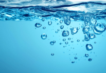 A Santena un Poetry Slam per la Giornata Mondiale dell’acqua Santena Poetry Slam