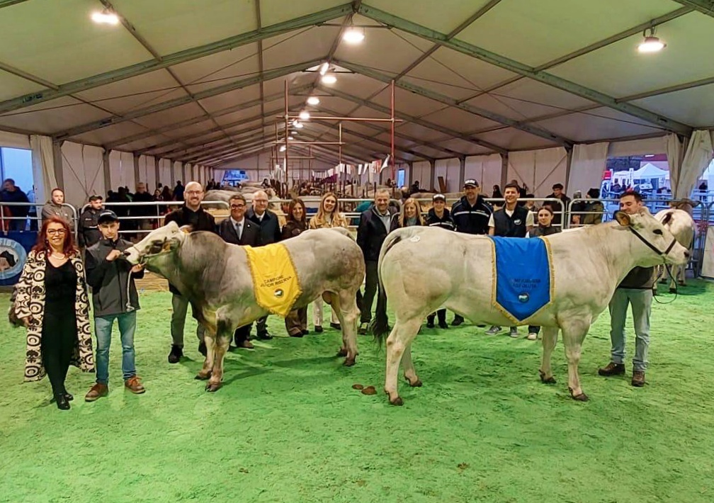 fiera di primavera carmagnola affari
