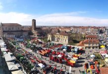 Fiera Primaverile di Carmagnola 2026: allevamento e agricoltura protagonisti fiera primaverile carmagnola