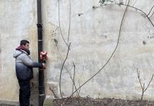 liceo baldessano carmagnola cortile