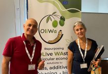 progetto oliwa carmagnola