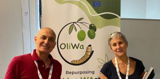 progetto oliwa carmagnola