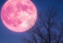 luna rosa camminata sentiero del maira