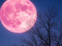 Camminata notturna sotto la luna rosa lungo il Sentiero del Maira luna rosa camminata sentiero del maira