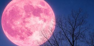 luna rosa camminata sentiero del maira