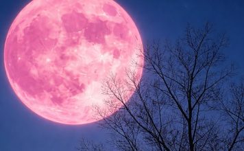 Camminata notturna sotto la luna rosa lungo il Sentiero del Maira luna rosa camminata sentiero del maira