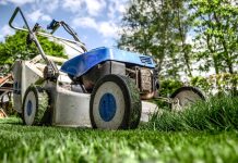 manutenzione del verde a carmagnola