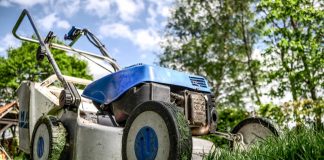 manutenzione del verde a carmagnola